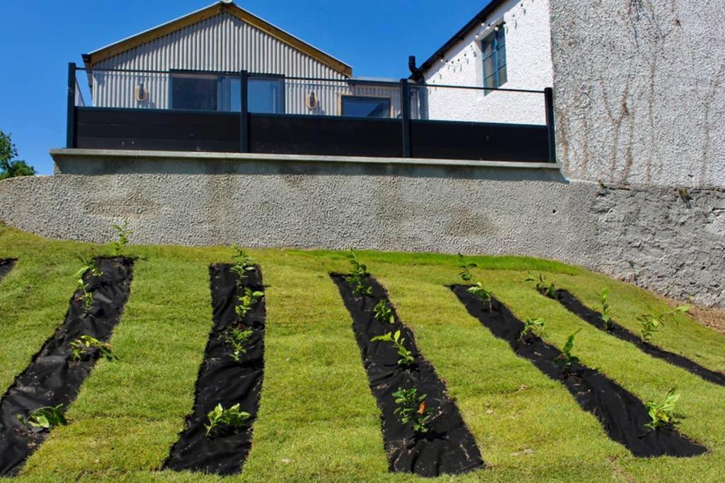 The Hideaway Portaferry Apartment Exterior photo